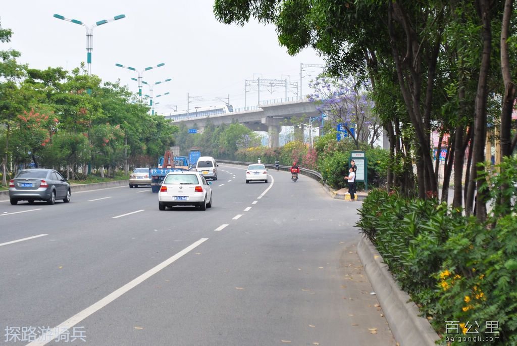 DSC_0318 - 复制.JPG