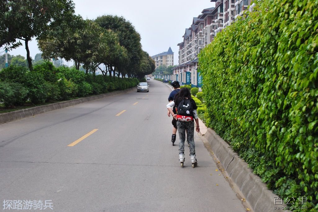 DSC_0375 - 复制.JPG