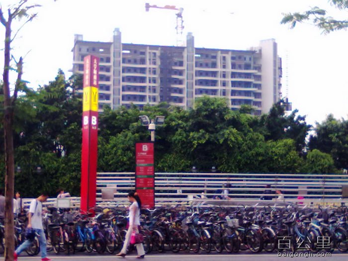 20110507306.jpg
