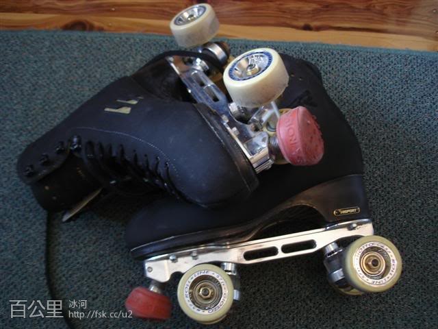 Skates009Small.jpg