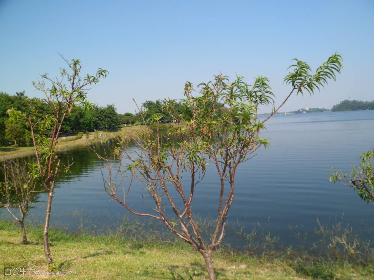 SAM_3616 - 副本.JPG