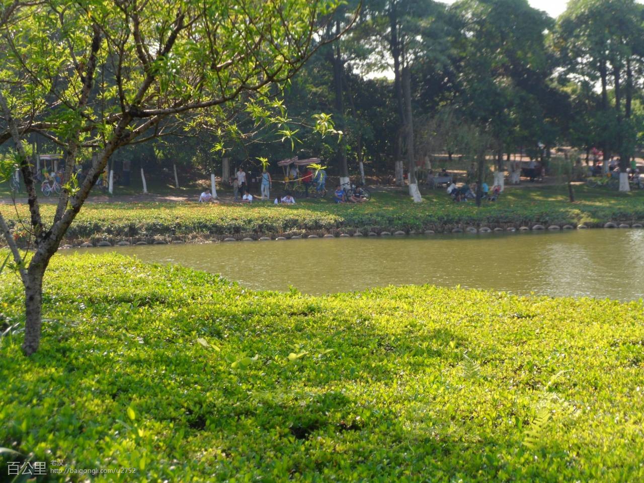 SAM_3611 - 副本.JPG