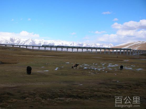 tibet_railway_11