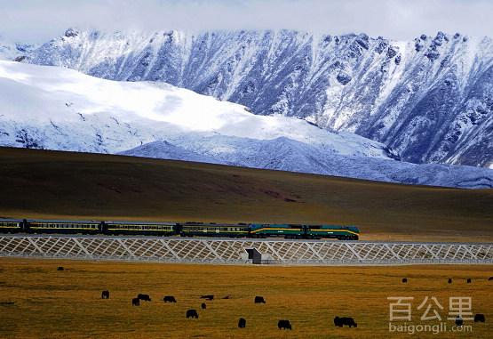 tibet_railway_15